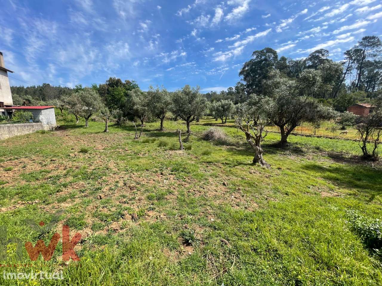 Moradia T3 em Pedra com Terreno e anexos no Sarzedo - Grande imagem: 3/31