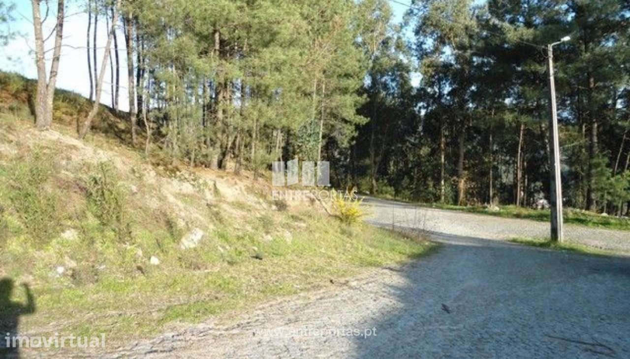 Venda Terreno, Banho e Carvalhosa, Marco de Canaveses - Grande imagem: 2/8