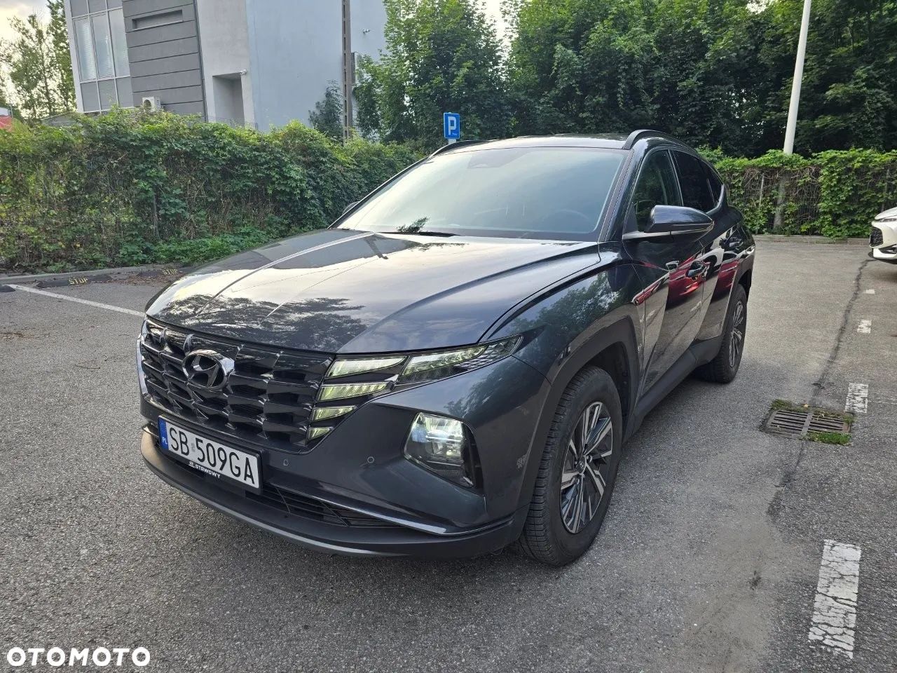 Hyundai Tucson 1.6 T-GDi HEV Executive Final Edition 2WD - 1