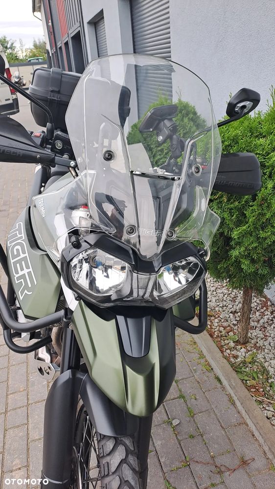 Triumph Tiger - 17