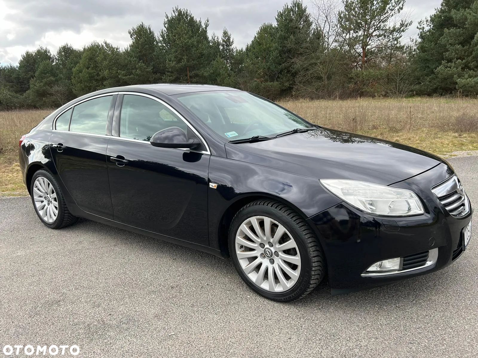 Opel Insignia 2.0 T Cosmo - 1