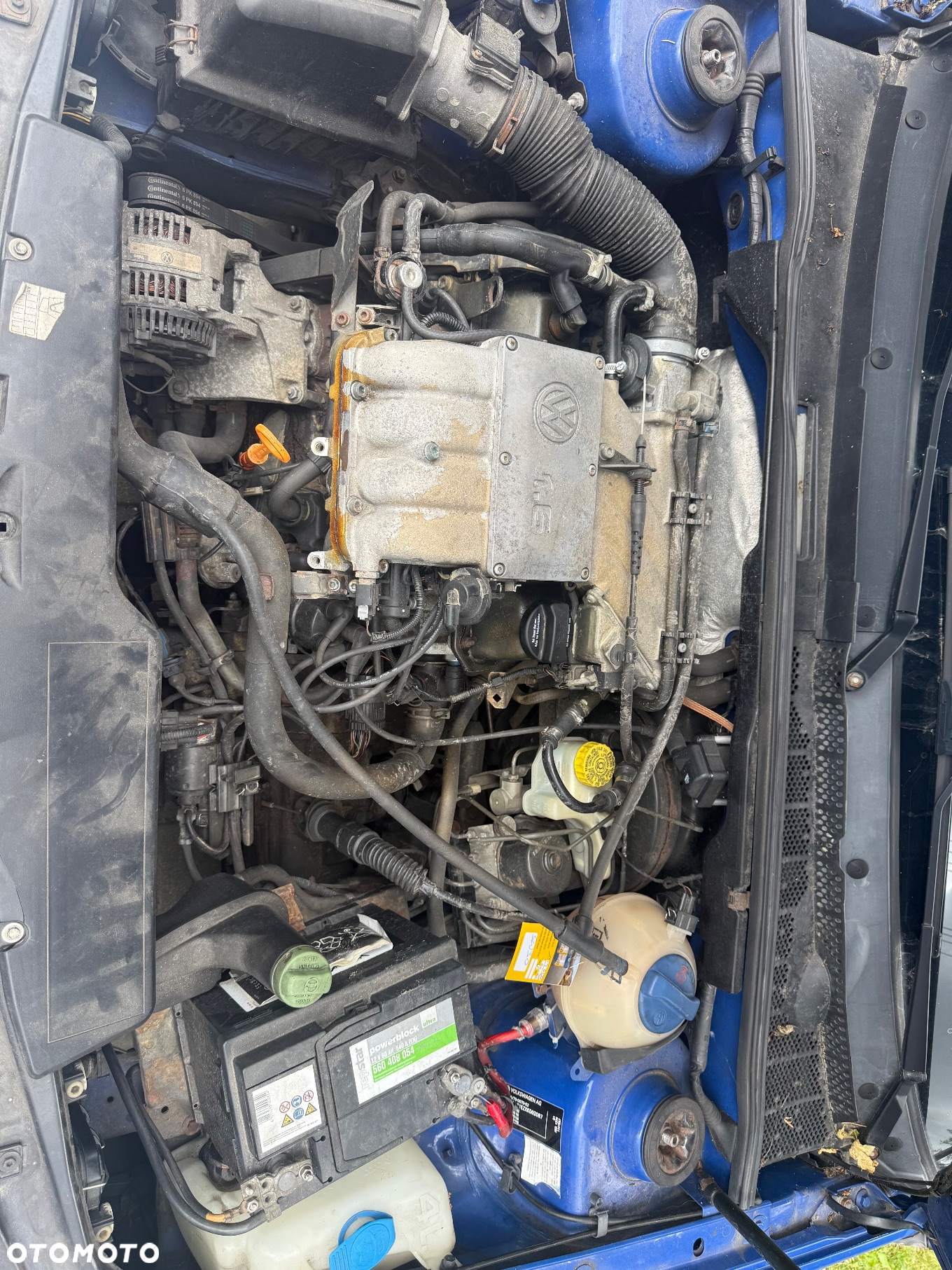 Volkswagen Golf Cabriolet 1.6 - 4