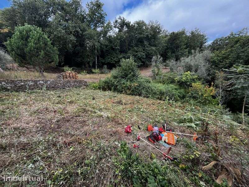 Terreno para venda em chelo Penacova - Grande imagem: 4/6