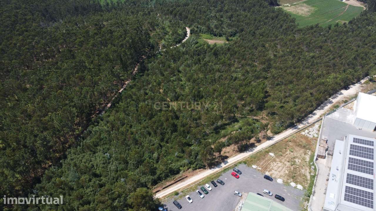 Terreno Industrial com 40.445 m² e PIP Aprovado - Grande imagem: 2/11