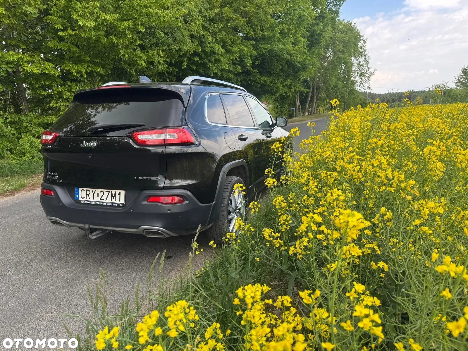 Jeep Cherokee 2.2 MJD Active Drive I Limited - 8