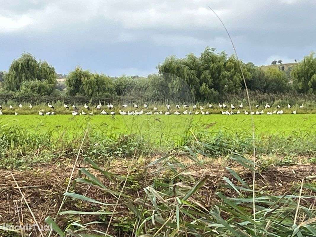 Prédio  para venda - Grande imagem: 5/9