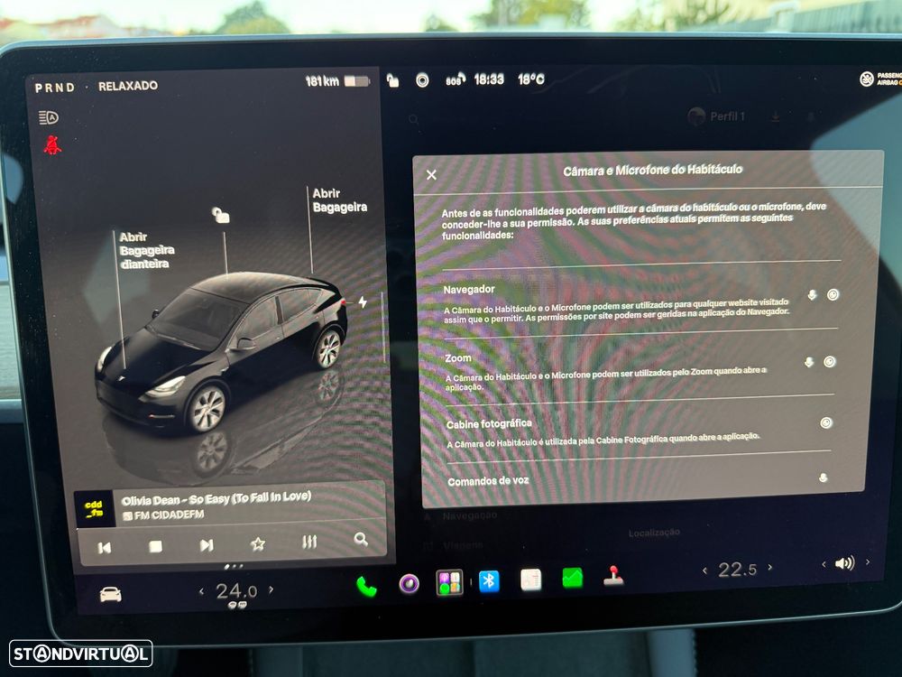 Tesla Model Y Standard - 42