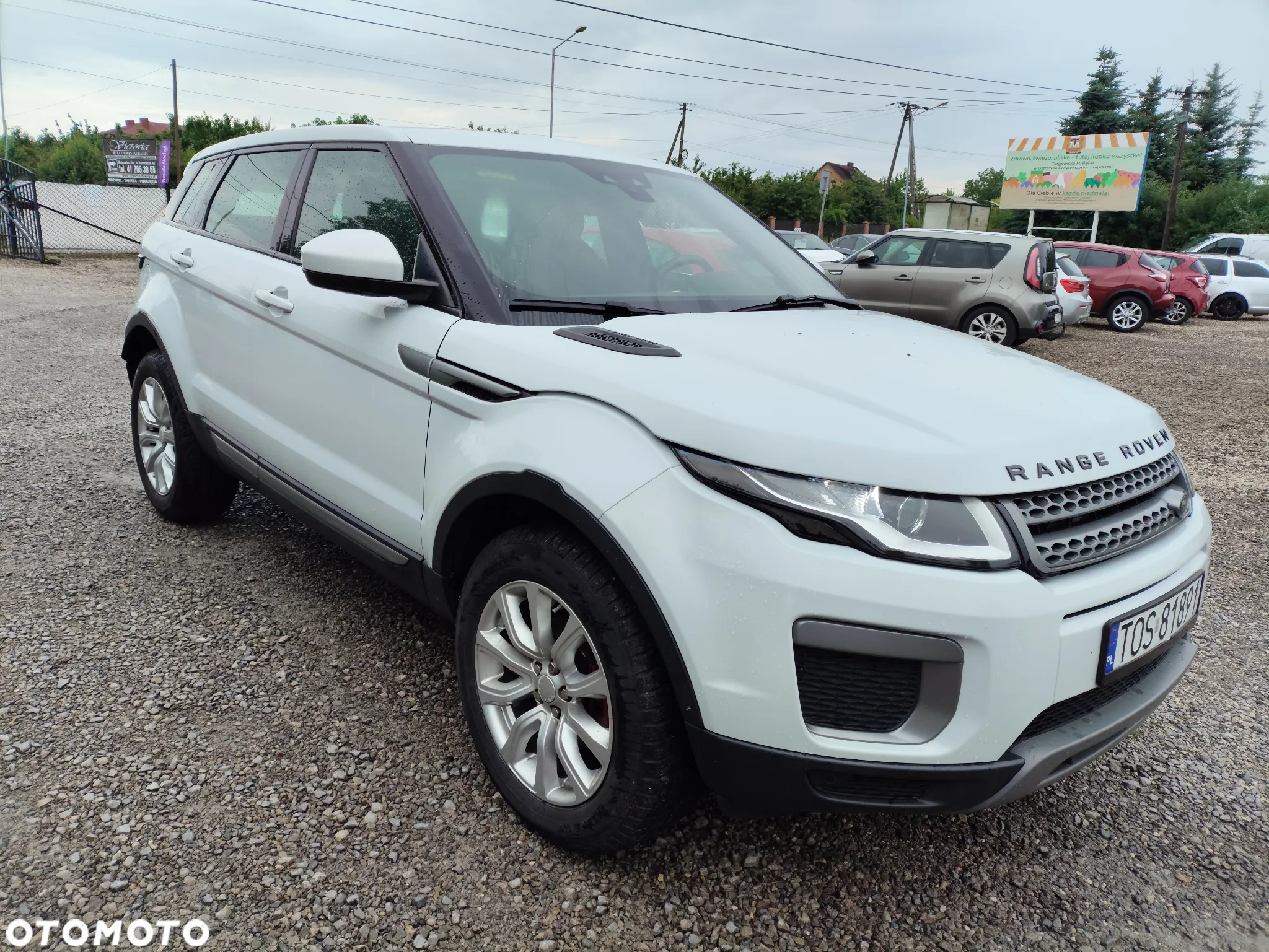 Land Rover Range Rover Evoque 2.0TD4 SE - 2