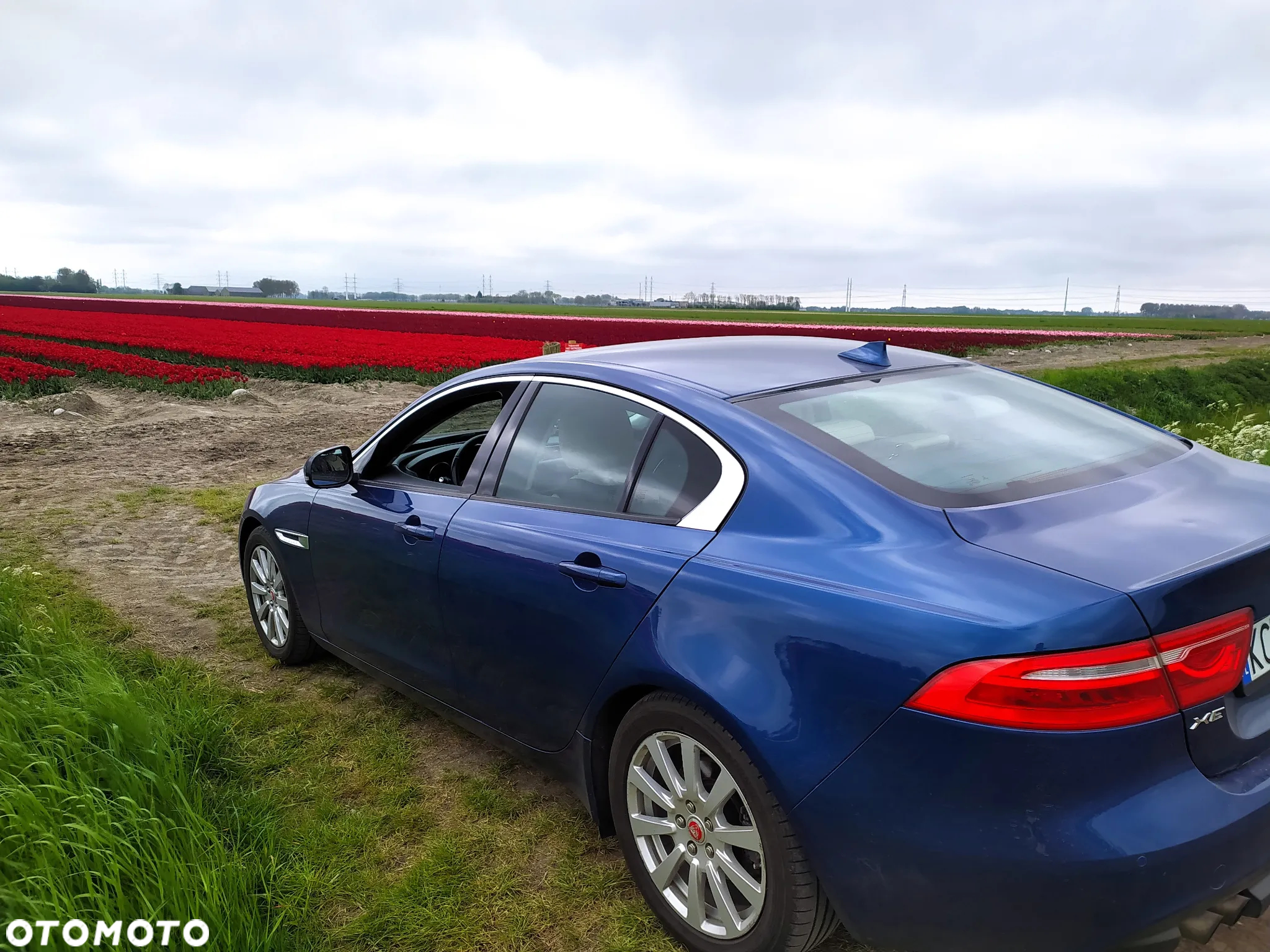 Jaguar XE 2.0 D AWD Pure - 15