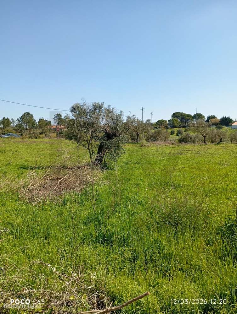 TERRENO PARA CONSTRUÇÃO - - Grande imagem: 4/39
