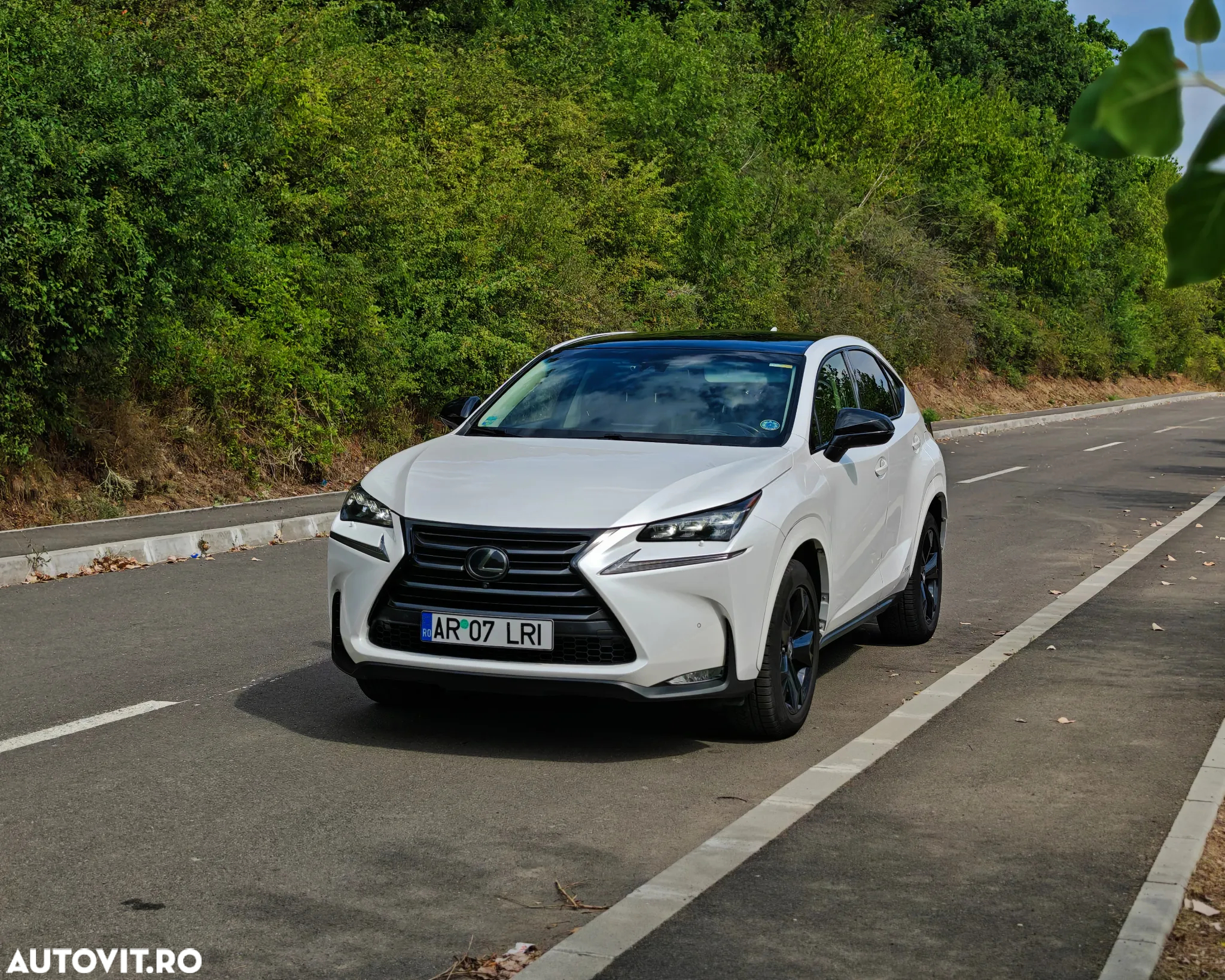 Lexus Seria NX 300h E-FOUR Luxury Line - 3