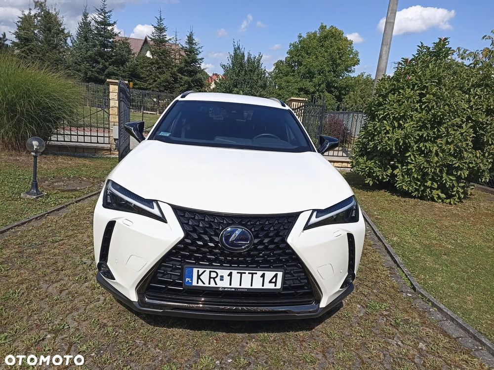 Lexus UX - 5