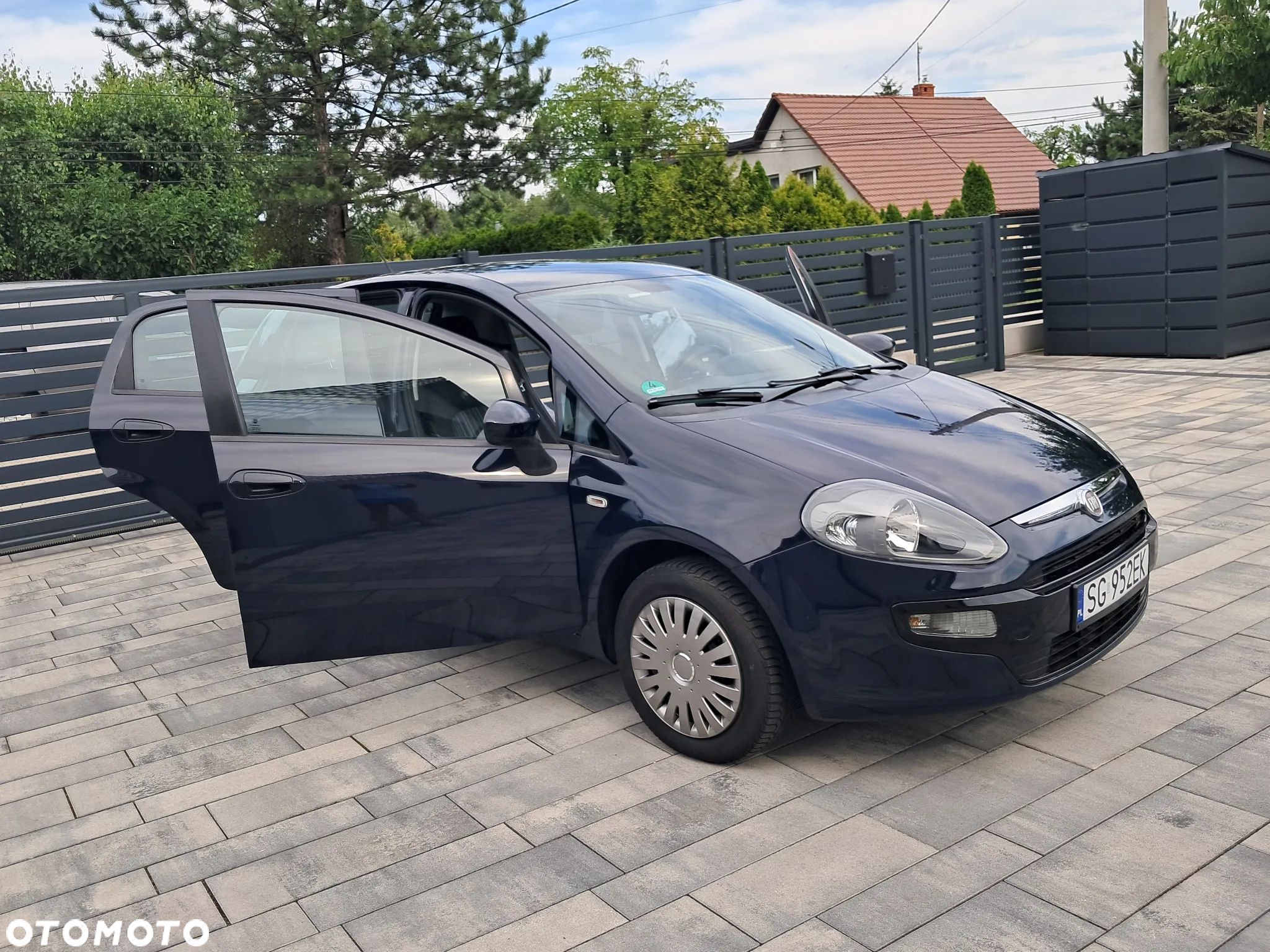 Fiat Punto Evo - 1