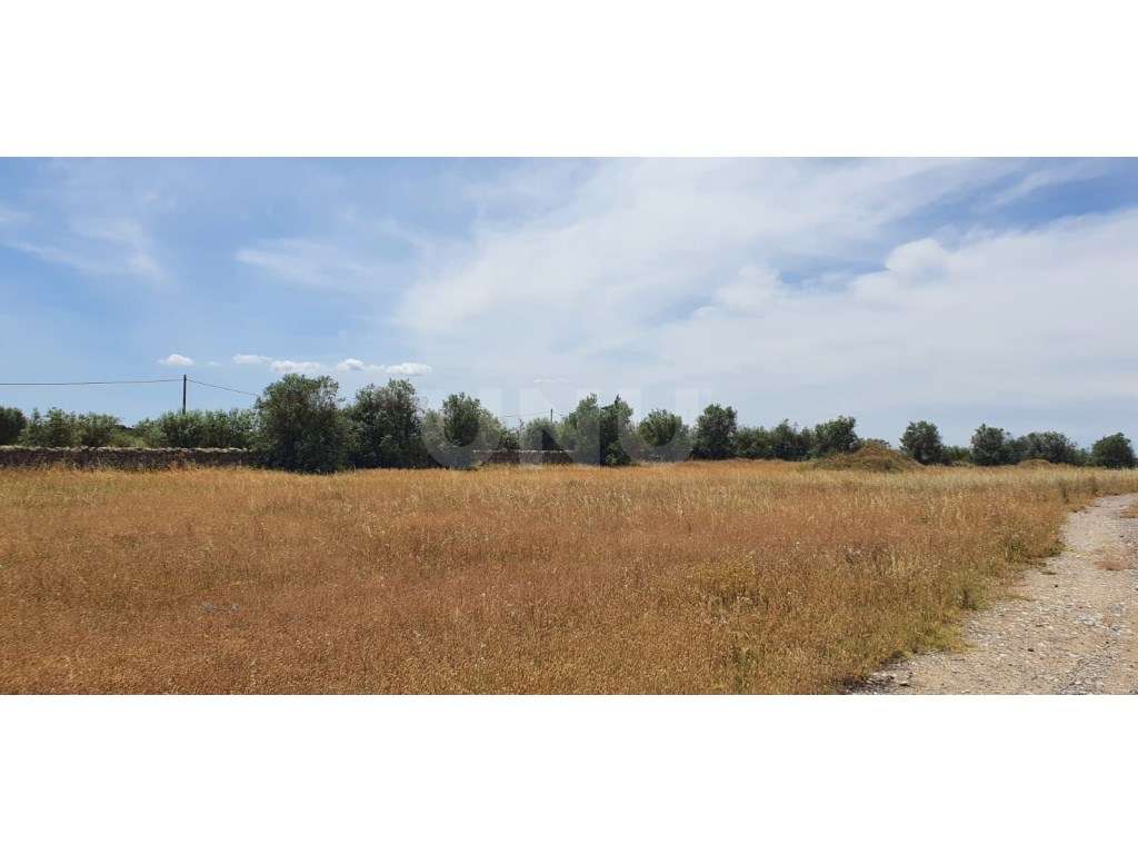 Terreno em Reguengos de Monsaraz - Grande imagem: 2/15