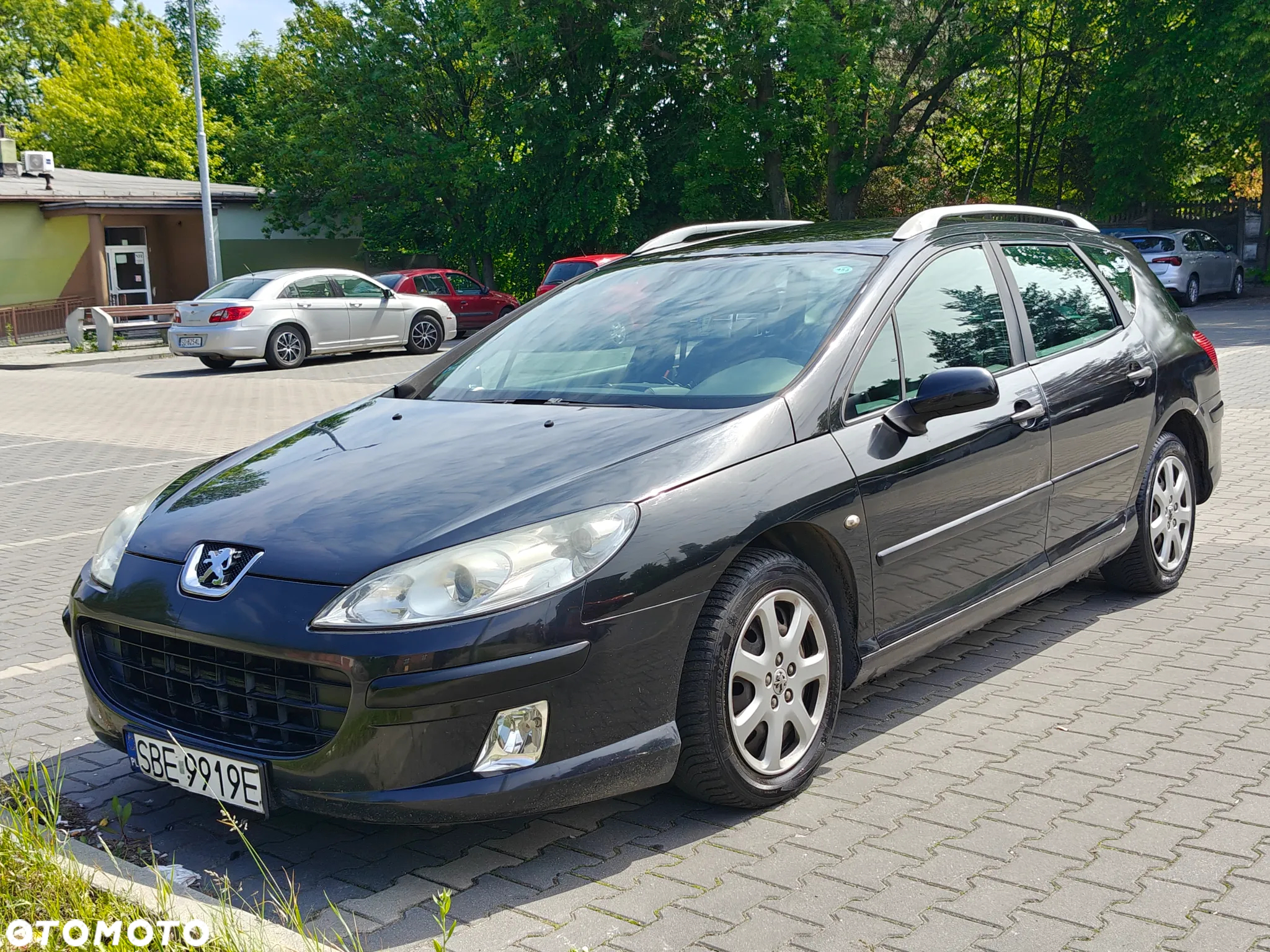 Peugeot 407 2.0 HDI Platinum - 14