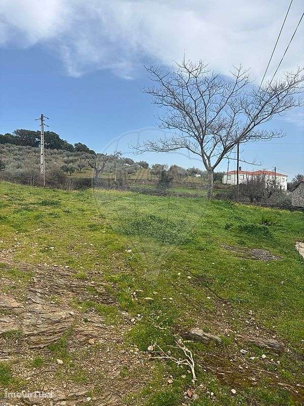 Moradia T4 para venda - Grande imagem: 3/12