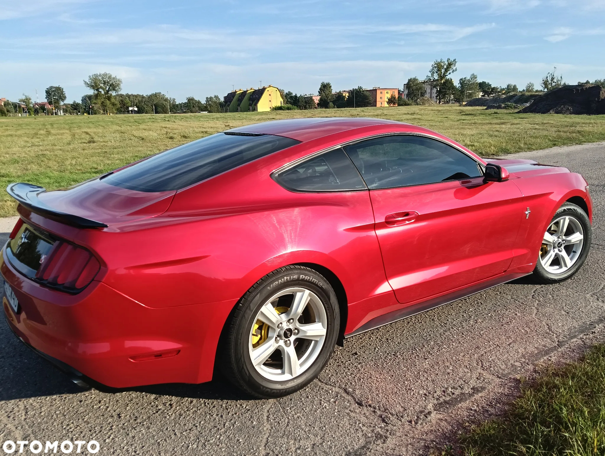 Ford Mustang - 8