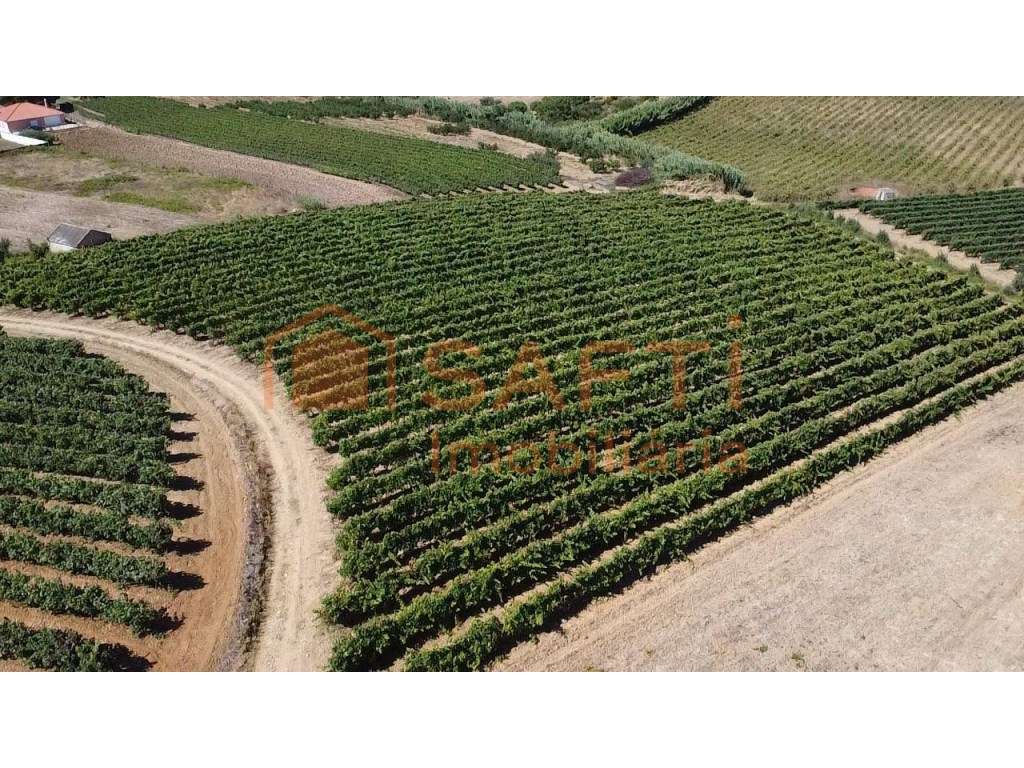 Terreno com PIP Aprovado para 6 Moradias | Turcifal, Torres Vedras - Grande imagem: 2/5