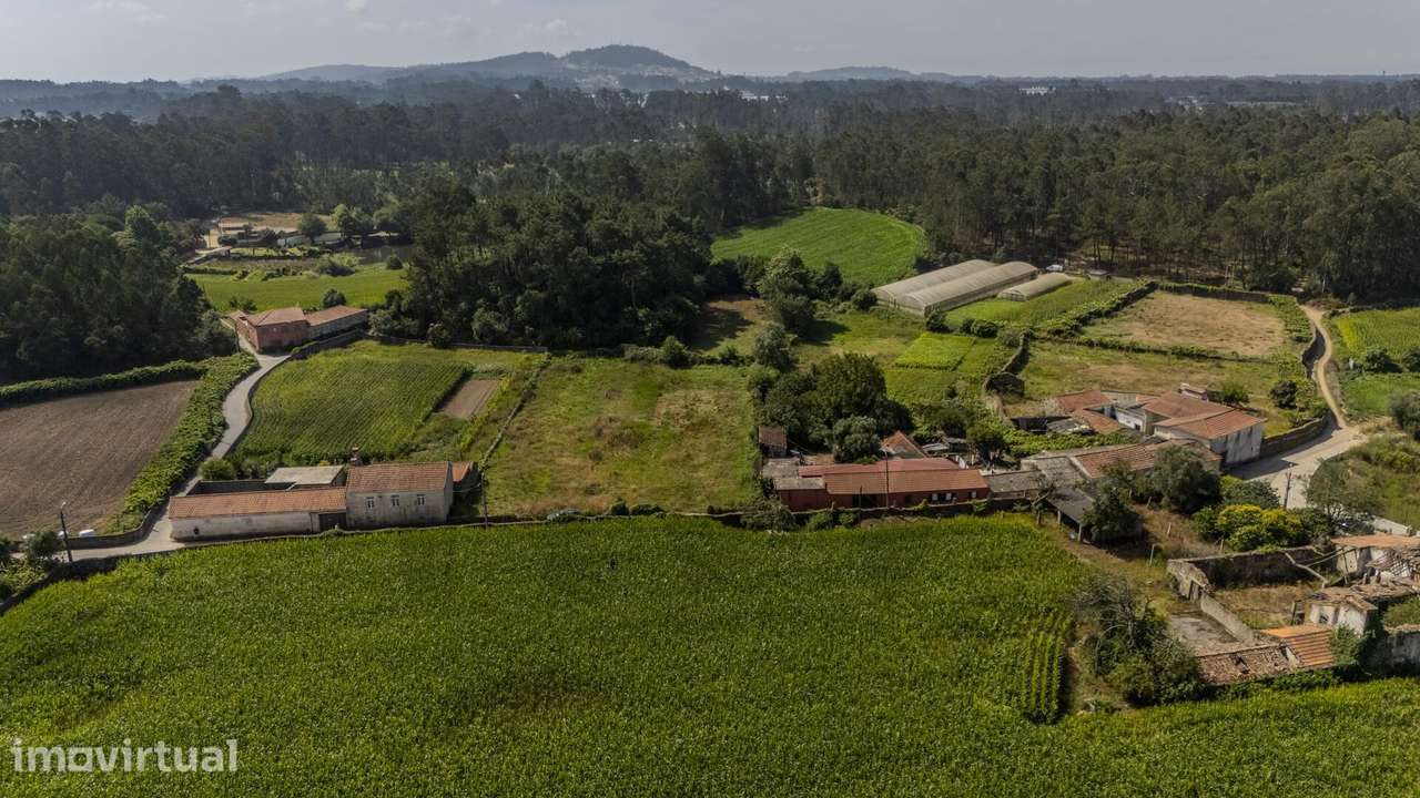 Terreno 1.292 m2 com projeto aprovado para moradia | Barqueiros - Grande imagem: 4/17