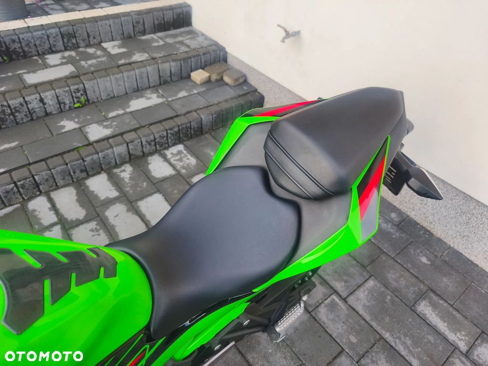 Kawasaki Ninja - 22