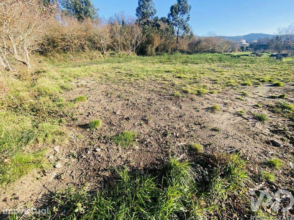 Terreno Agrícola em Sopo de 260,00 m2 - Grande imagem: 2/17
