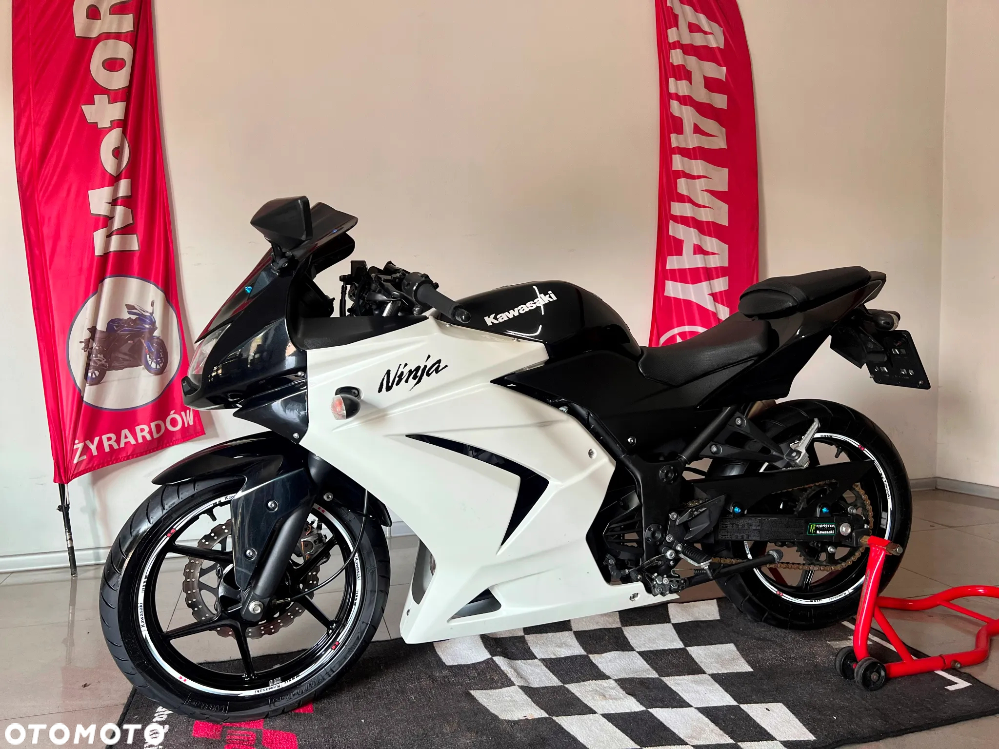 Kawasaki Ninja 250R - 3