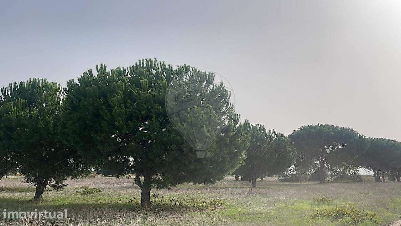 Terreno  para venda - Grande imagem: 2/3