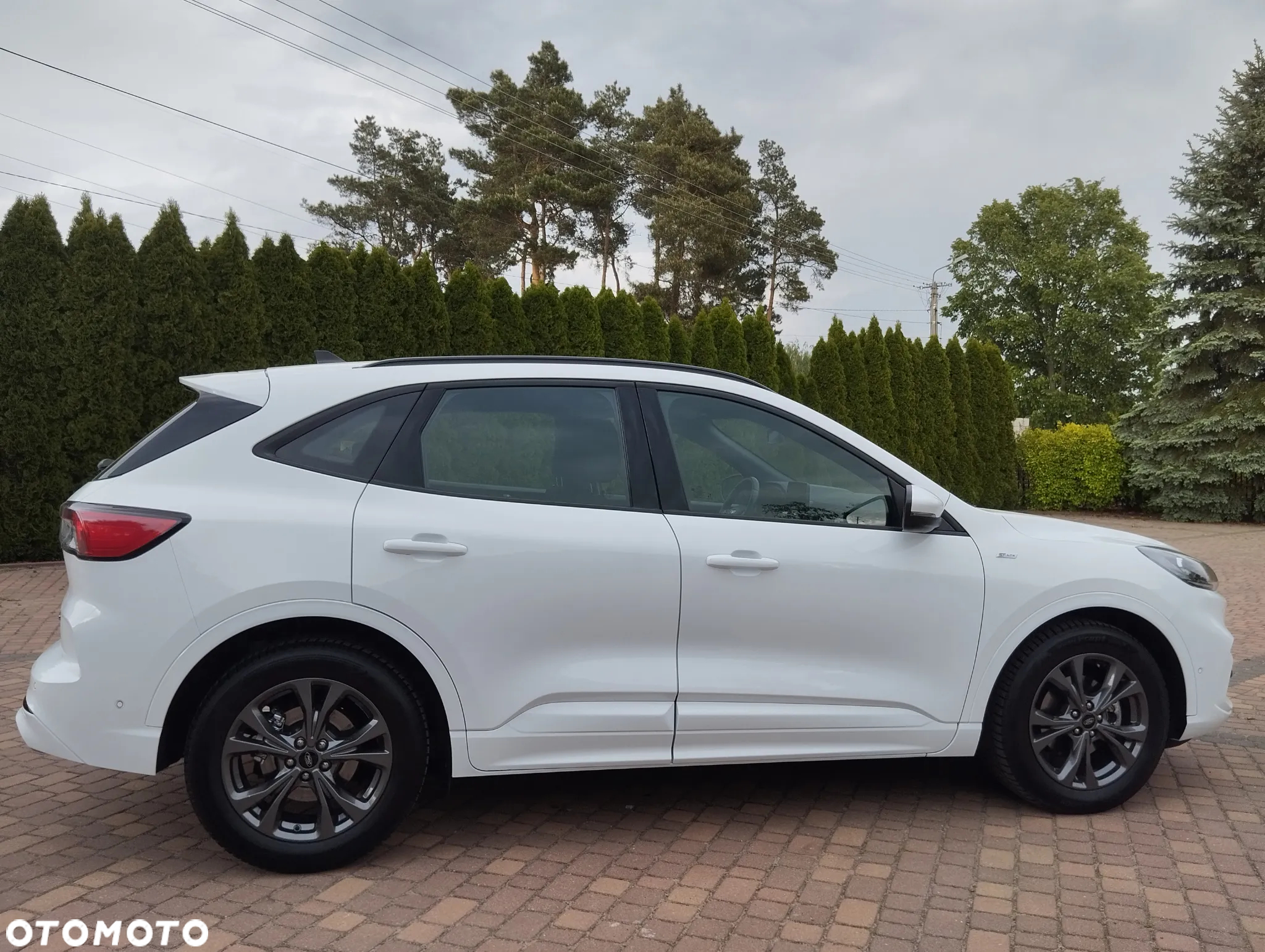 Ford Kuga 2.0 EcoBlue Hybrid ST-LINE - 5