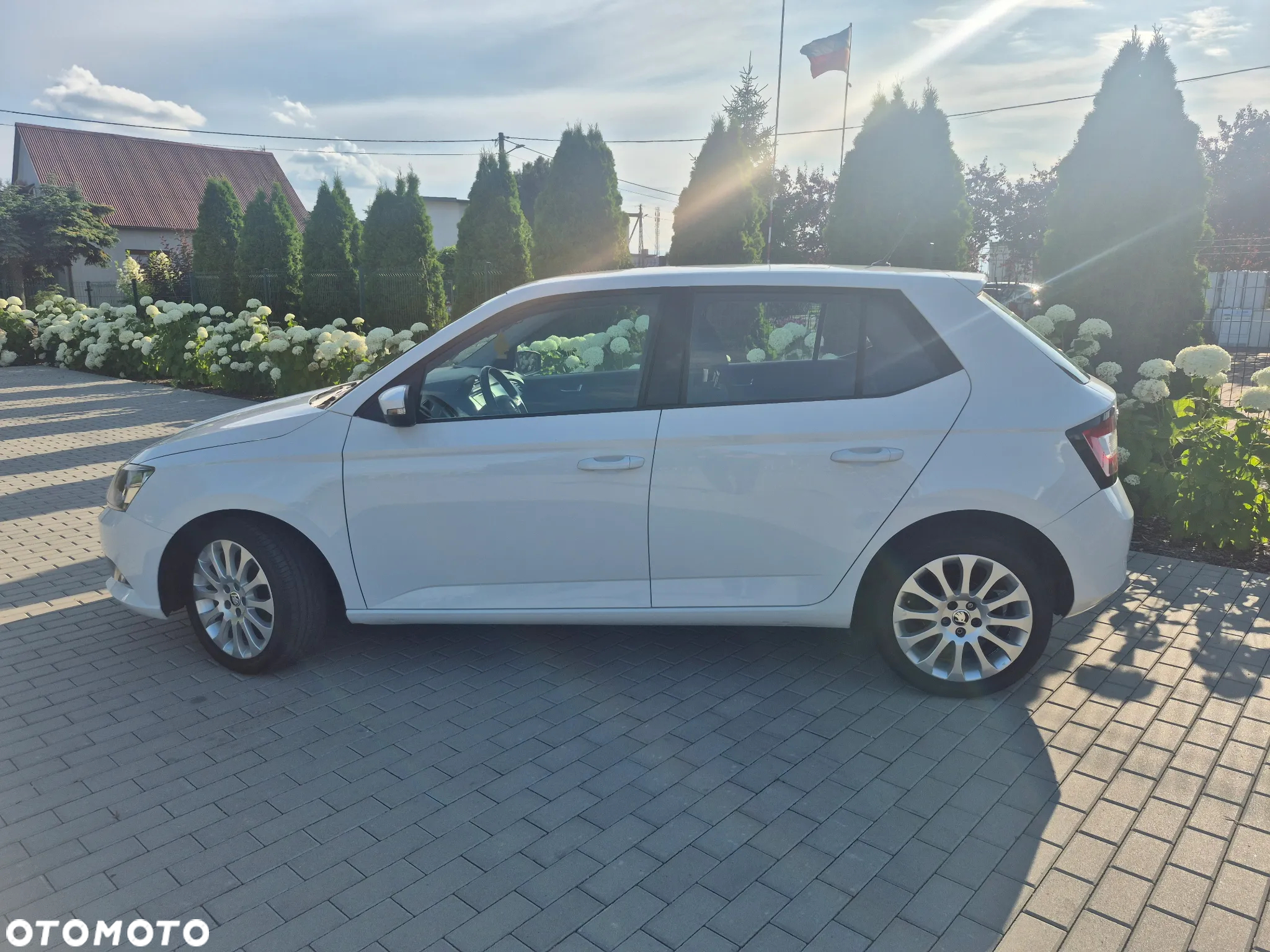 Skoda Fabia 1.4 TDI Edition DSG - 3