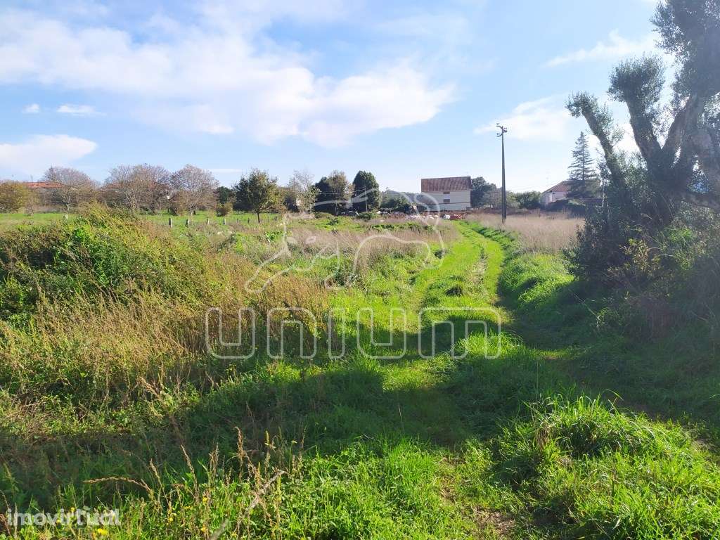 TERRENO - Vila Nova de Anha, Viana do Castelo - Grande imagem: 3/4