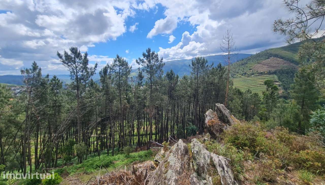 Venda Terreno, Gestaçô, Baião - Grande imagem: 4/31