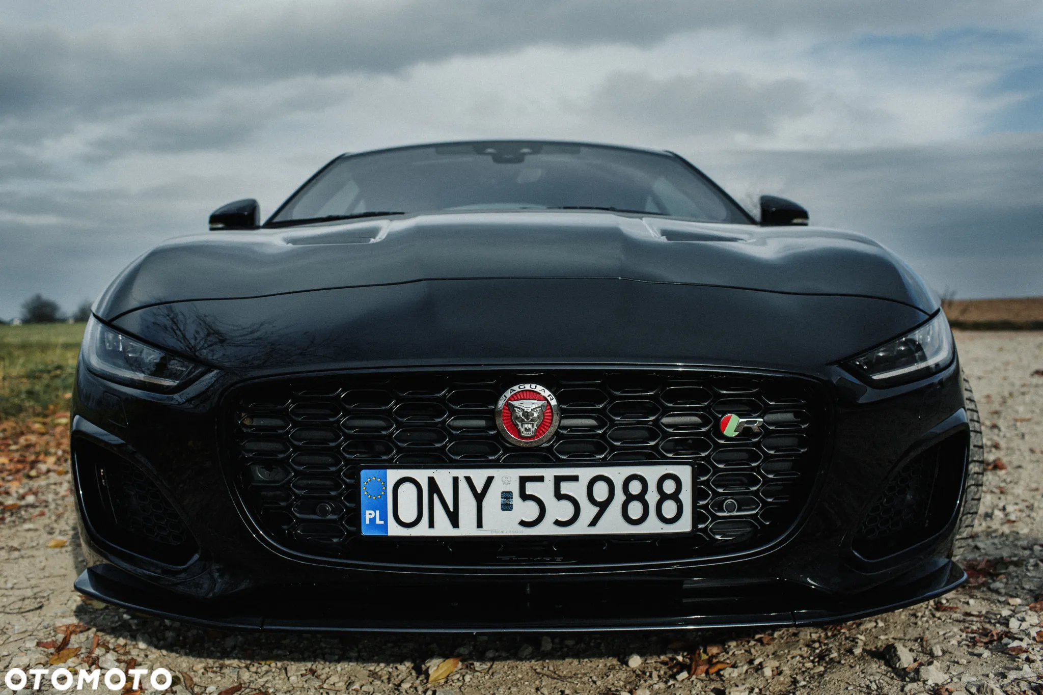 Jaguar F-Type 5.0 V8 S/C AWD R - 11