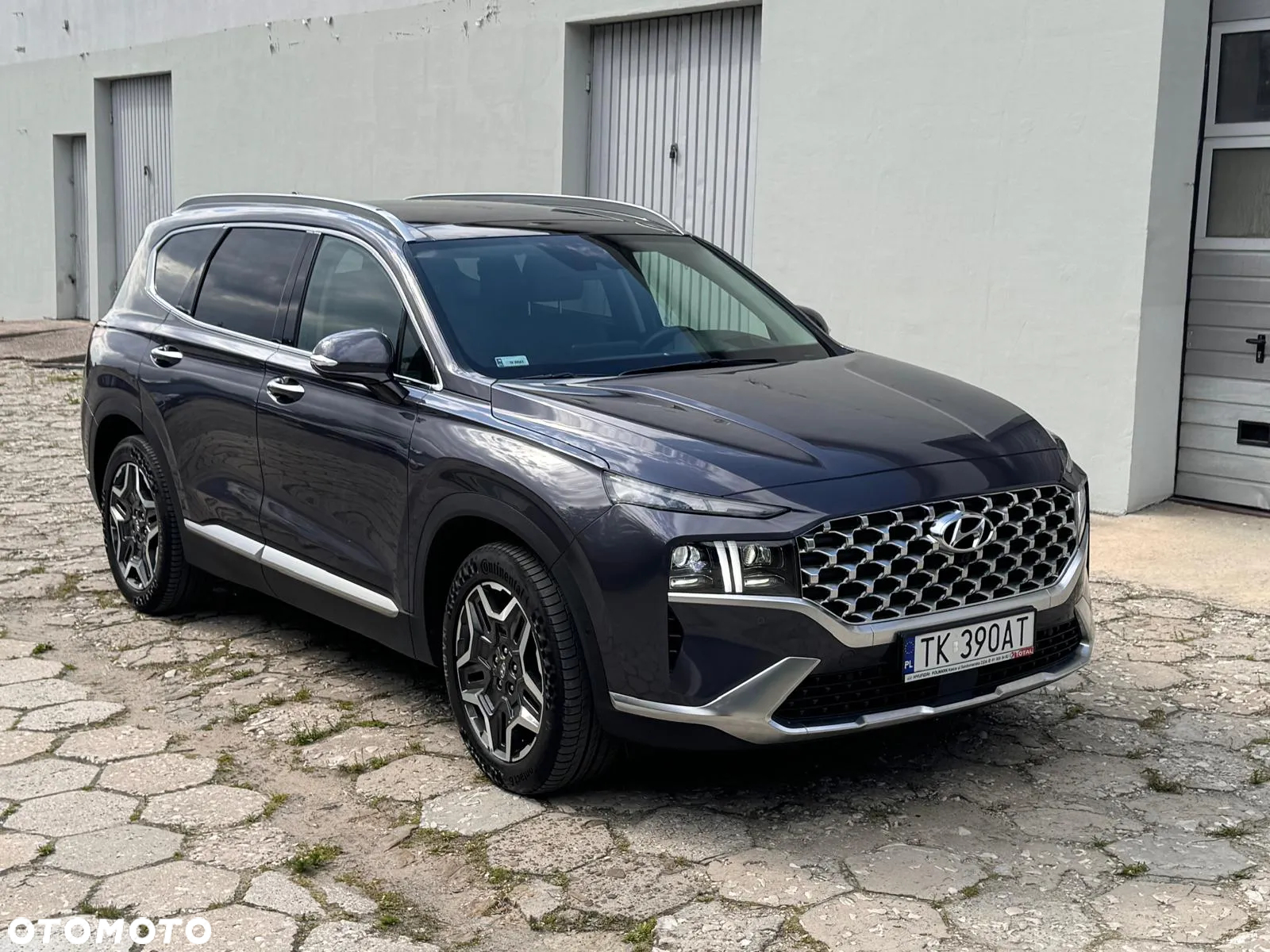 Hyundai Santa Fe - 3