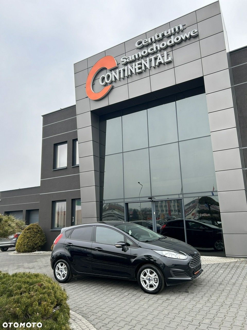 Ford Fiesta - 6