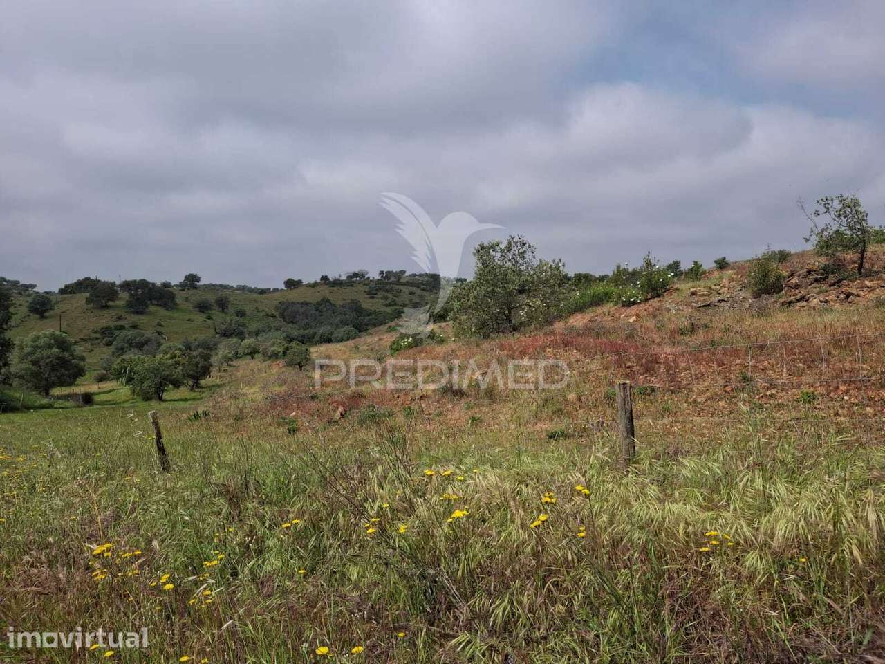 Terreno Rustico - Pulo do Lobo -Mértola - Grande imagem: 5/30