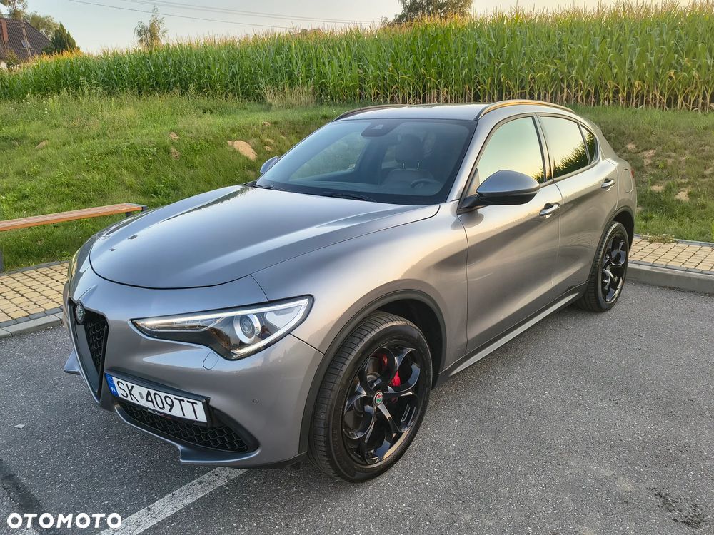 Alfa Romeo Stelvio 2.0 Turbo Executive Q4 - 1