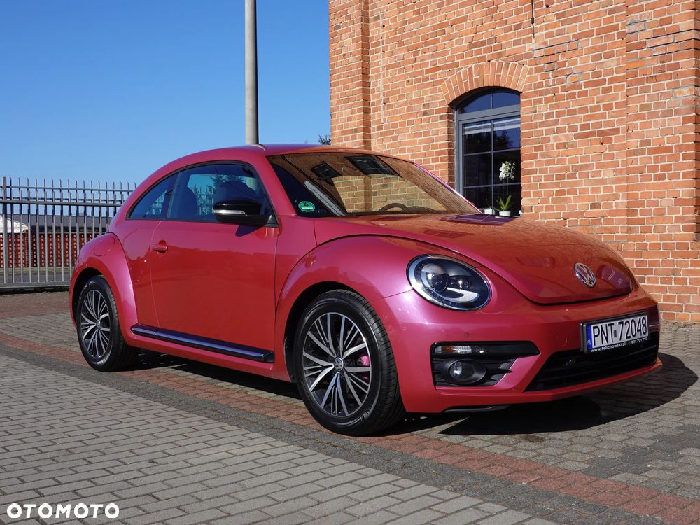 Volkswagen Beetle - 6