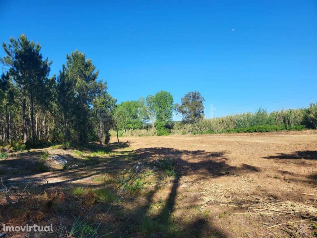 Terreno para Agricultura com 6420m2 no Valado dos Frades- Nazaré - Grande imagem: 3/18