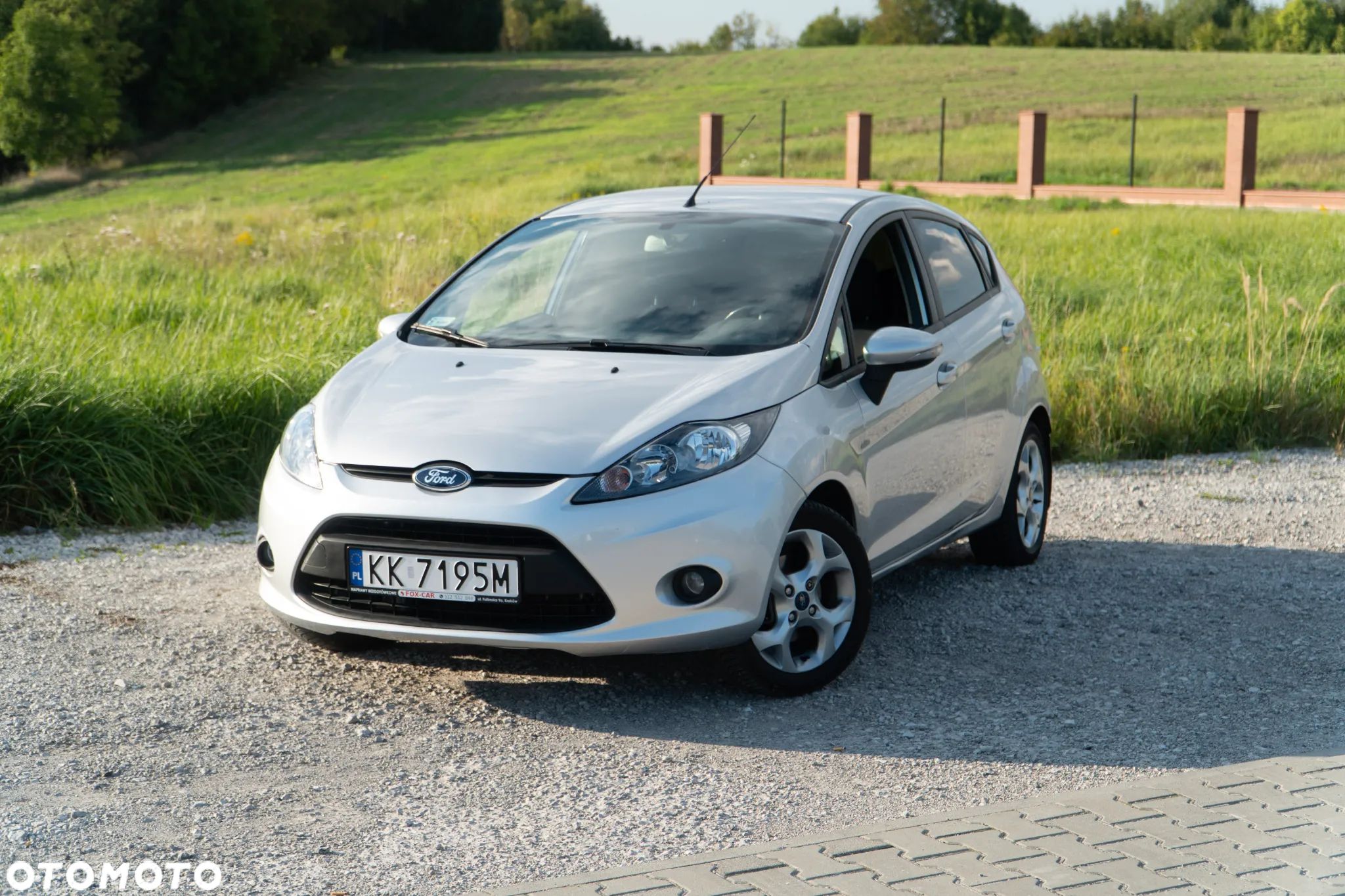 Ford Fiesta - 1