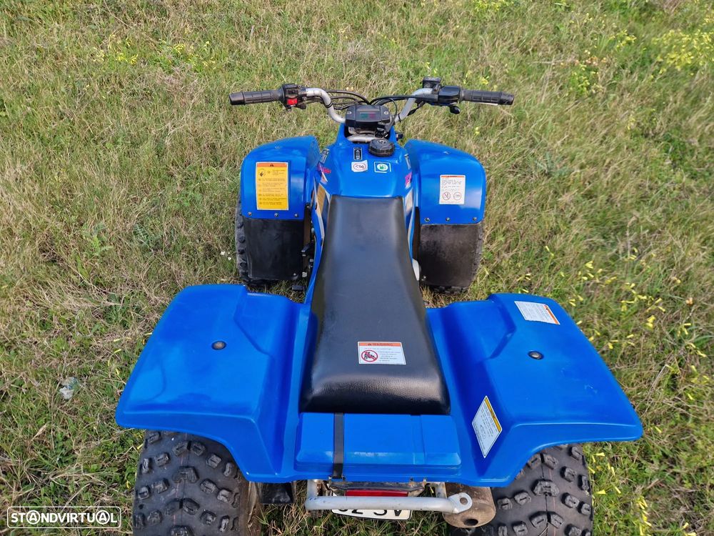 Kawasaki Lakota 300  Possível Financiamento - 11