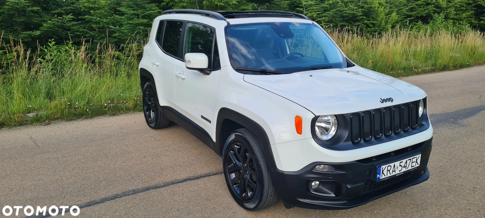 Jeep Renegade 1.4 MultiAir Limited FWD S&S - 8
