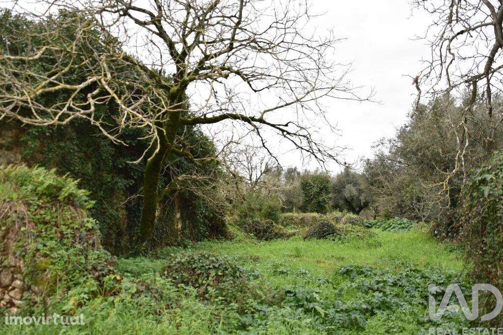 Casa / Villa T1 em Areias e Pias de 160,00 m2 - Grande imagem: 2/24