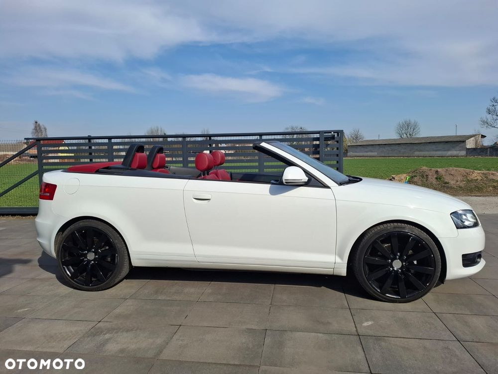 Audi A3 Cabrio 2.0 TDI DPF Ambition - 8