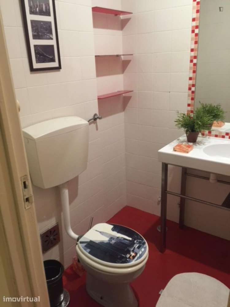 Roomy apt near Cidade Univesitária / Spacious apt near University - Grande imagem: 5/20