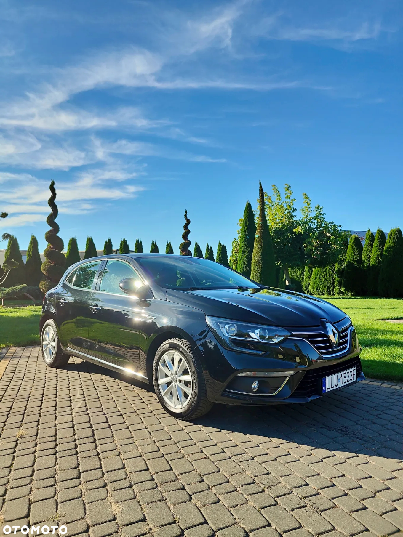 Renault Megane 1.2 Energy TCe Limited - 8