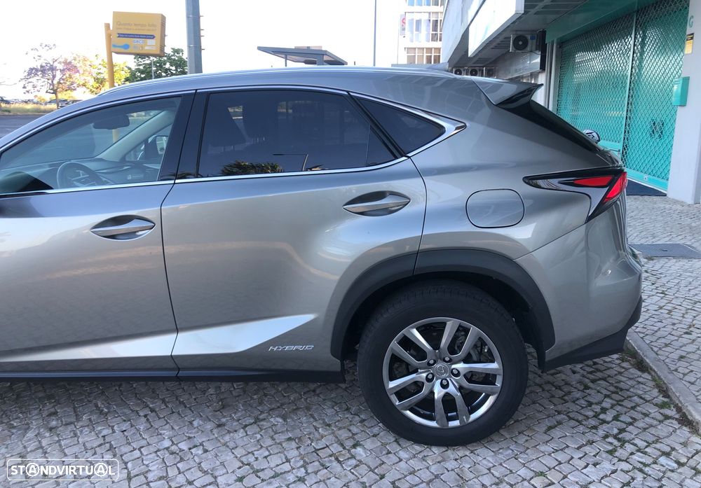 Lexus NX 300h Executive Plus - 6