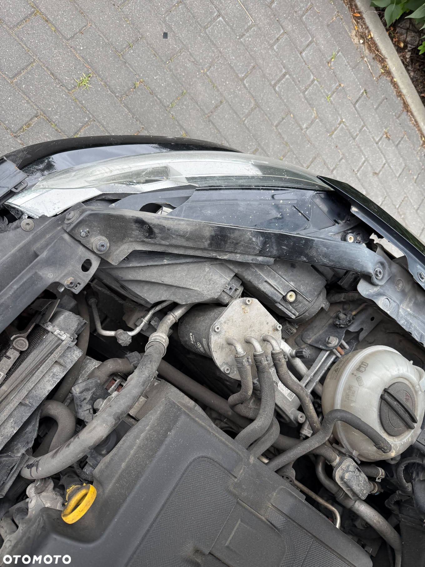 Volkswagen Golf VII 1.6 TDI BMT Trendline - 9