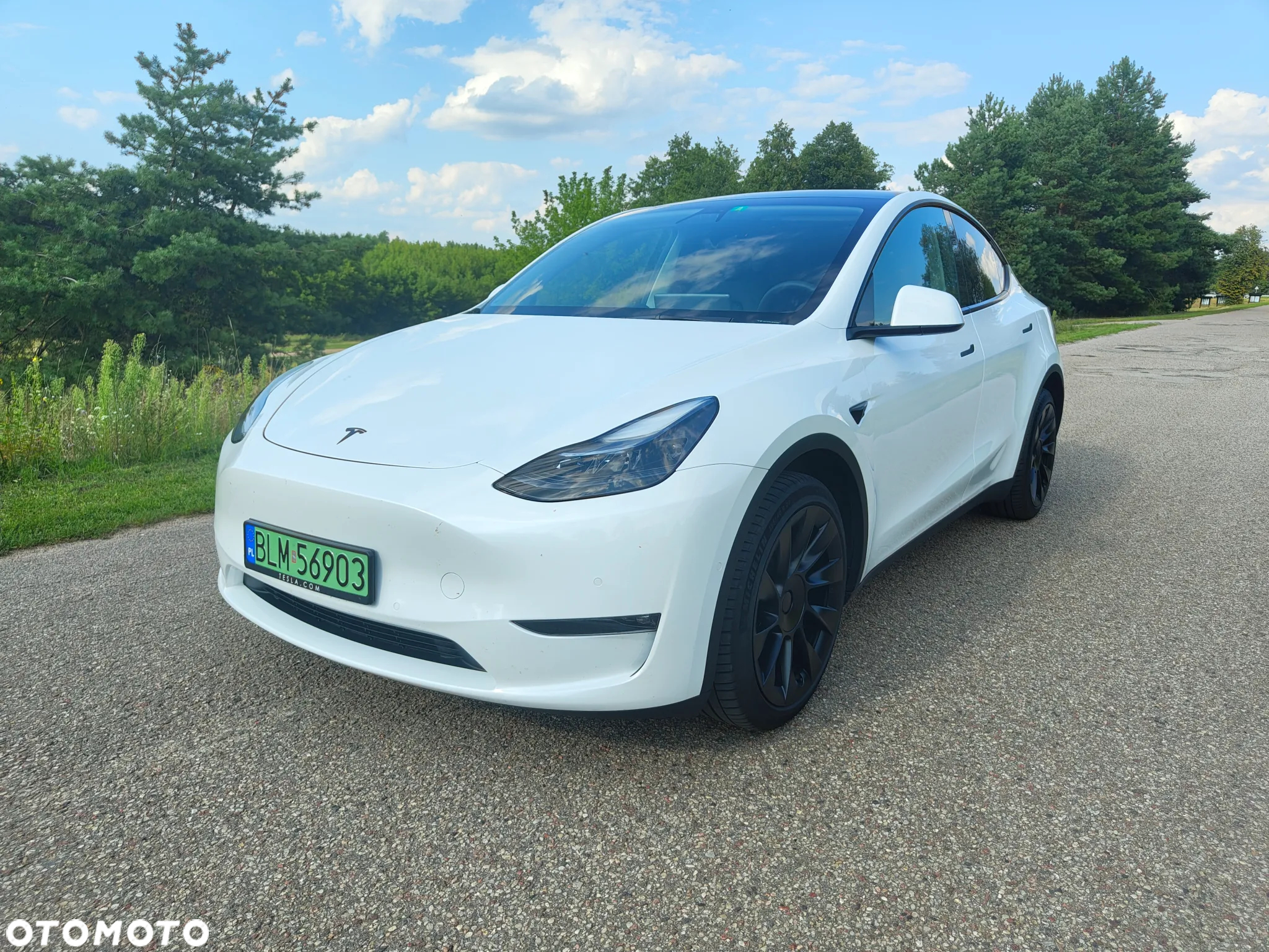 Tesla Y Model Long Range Dual Motor AWD - 14