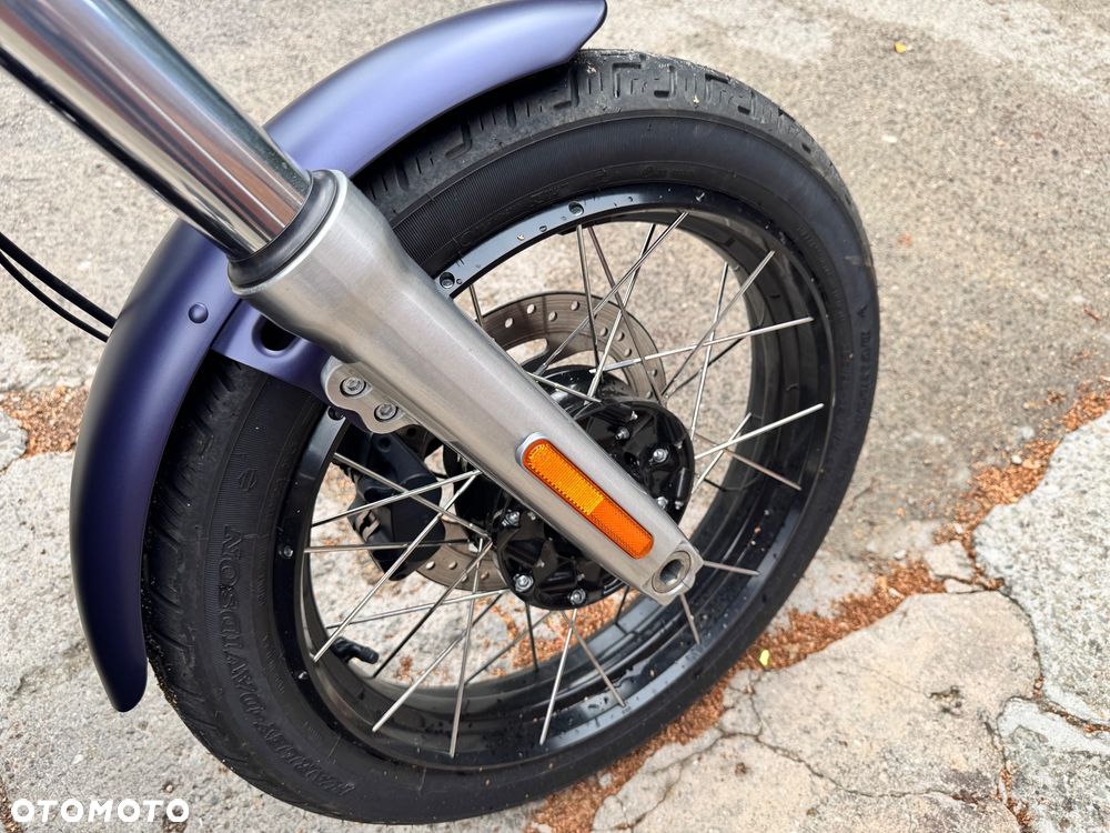 Harley-Davidson Softail Standard - 15