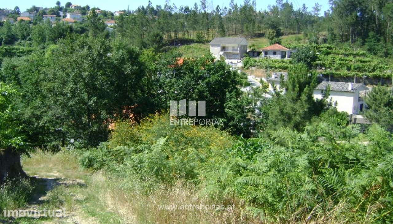 Venda Terreno, Santo Isidoro, Marco de Canaveses - Grande imagem: 2/7